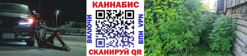 Где купить наркотики Дедовск Гашиш ГЕРОИН МЕФ АМФЕТАМИН КОКАИН Марихуана Alpha PVP