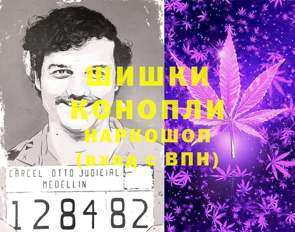 стаф Вязники