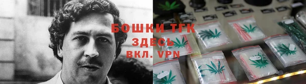 стаф Вязники